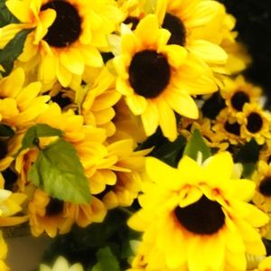 Meet your Posher, Marina